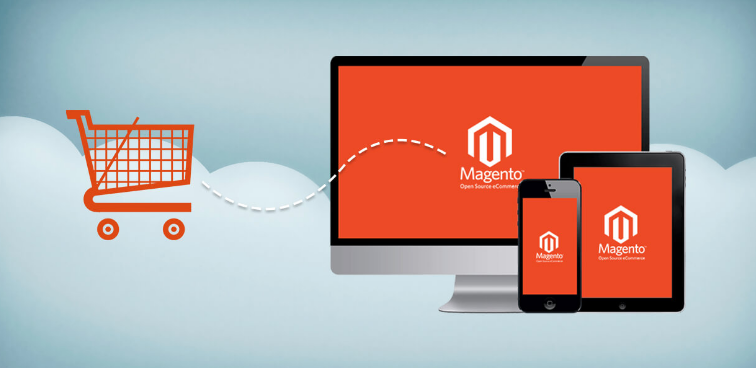 magento ecommerce web development