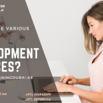 What Are The Various Web Development Services?